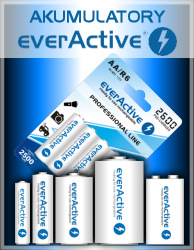 everActive everActive