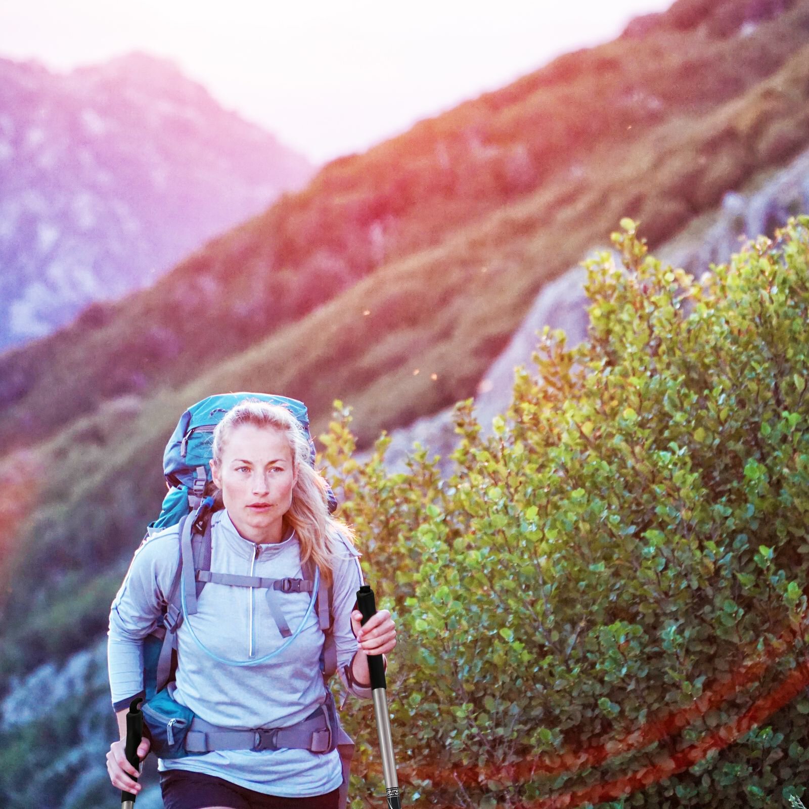 nordic walking trekking nordic walking trekking
