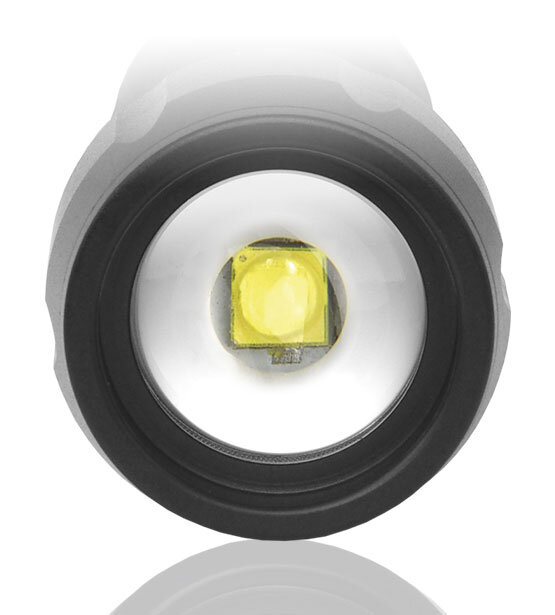 everActive FL-300+