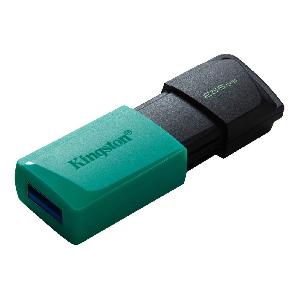 Pendrive USB 3.2 Gen 1 Kingston DataTraveler Exodia M 256GB