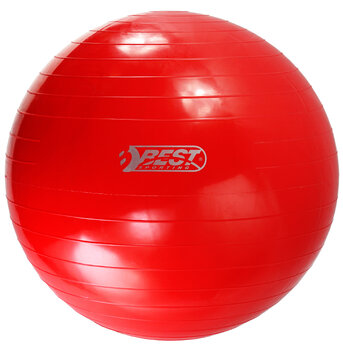 Piłka gimnastyczna, rehabilitacyjna 65 cm czerwona Best Sporting 57026