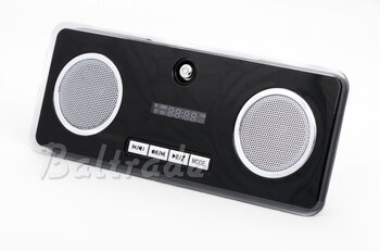 Przenośne głośniki 2.0 LX-Q901C z odtwarzaczem MP3