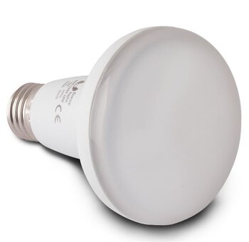 Żarówka 20 SMD2835 10W E27 R80