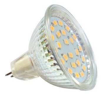 Żarówka 21 LED SMD2835 5W MR16 12V zimna