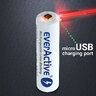 Akumulator everActive 18650 3,7V Li-ion 3200mAh micro USB z zabezpieczeniem BULK