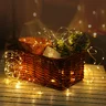 Lampki dekoracyjne BAT modee 10m WARM 100LED ML-C2012