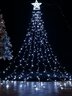 Lampki gwiazda modee 3m COLD 300LED ML-C3001
