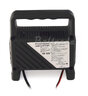 Prostownik 12V SENA 4A LED