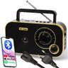 Radio analogowe przenośne Blow 77-542# 