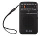 Radio analogowe przenośne Blow RA-20 77-560# Radio analogowe przenośne Blow RA-20 77-560#