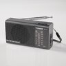 Radio analogowe przenośne Tiross TS-455