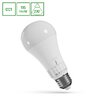 Żarówka LED E27 13W bańka 5w1 Spectrum WOJ14716