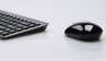 Zestaw bezprzewodowy Asus Eee Wireless Set czarny
