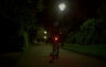 zestaw diodowych lamp rowerowych Sigma Eloy / Cuberider Black Combo
